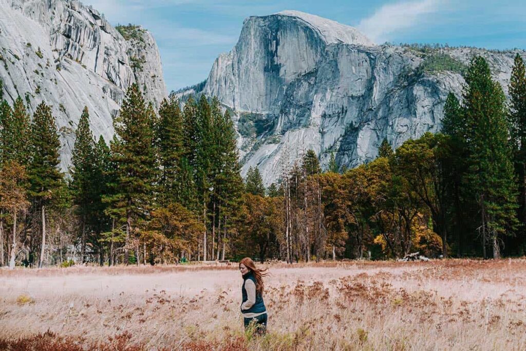 Fred Kearney WSzW7T96tks Unsplash 1024x683